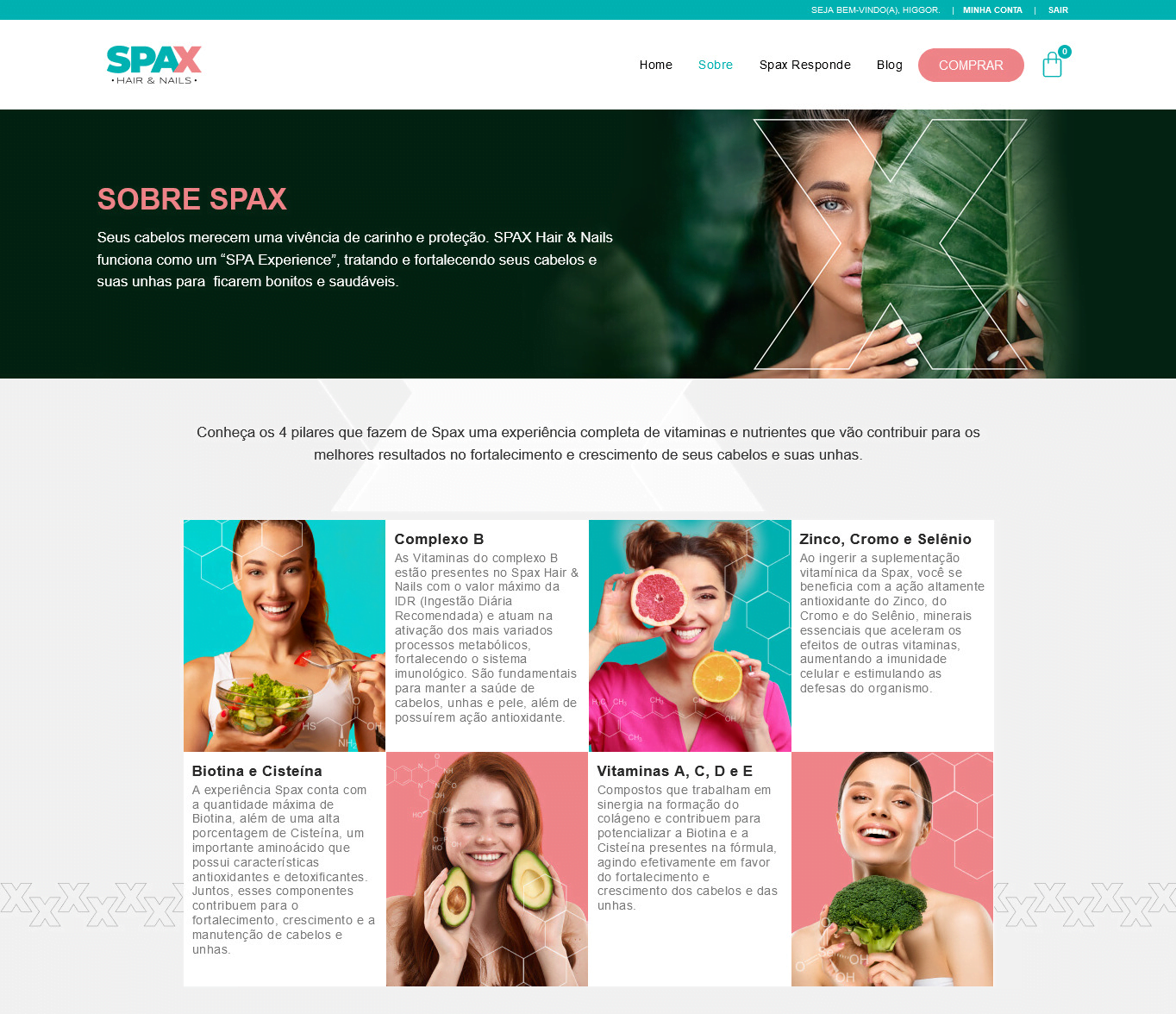 Página Sobre do Site SPAX: 4 pilares